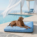 Cooling Orthopedic Dog Bed | Large Design with High-Density Support for Joint Health