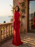 Women's Elegant Backless Bodycon Maxi Dress | Stylish Halter Neck Formal Evening Gown